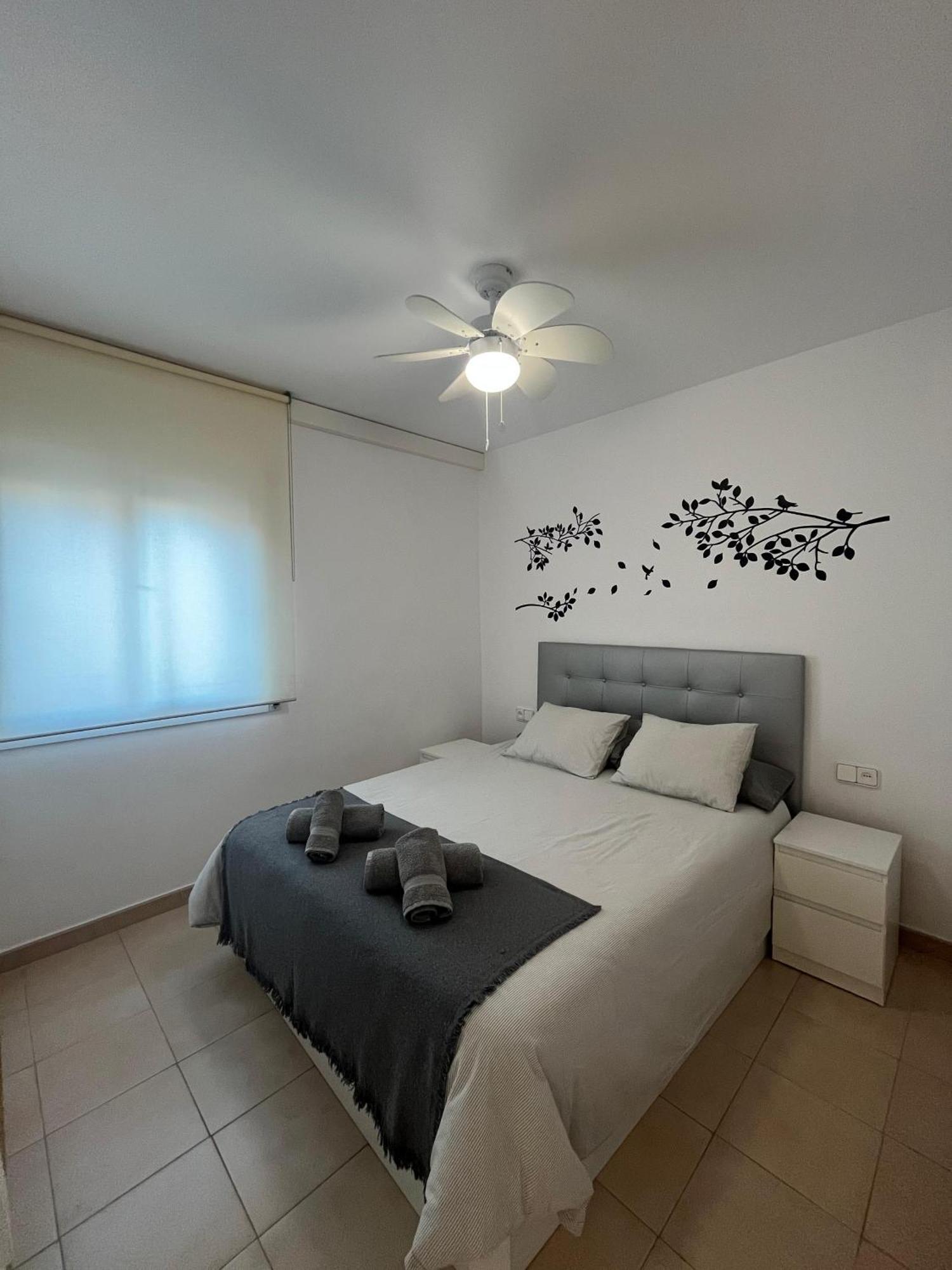 Appartement Ct *